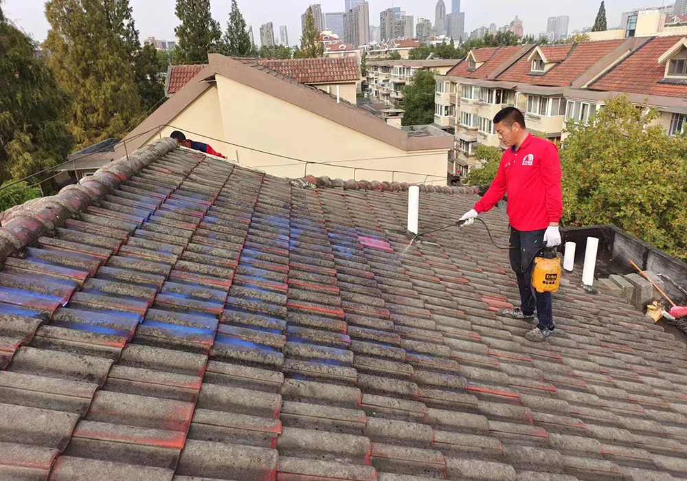 南京总统府房顶修缮维修